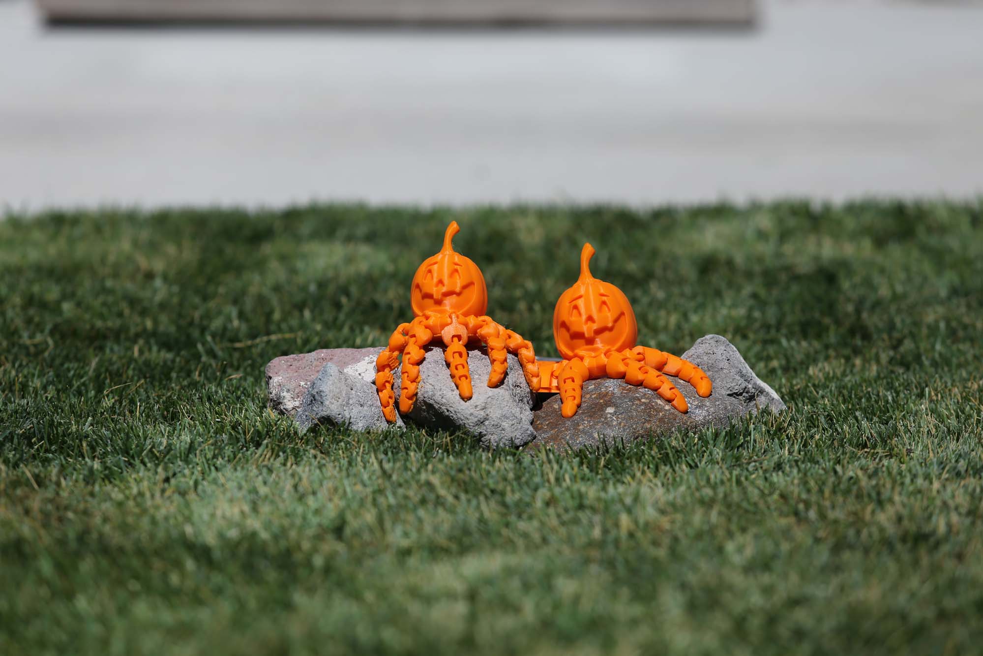 Articulated Octupus (Halloween)