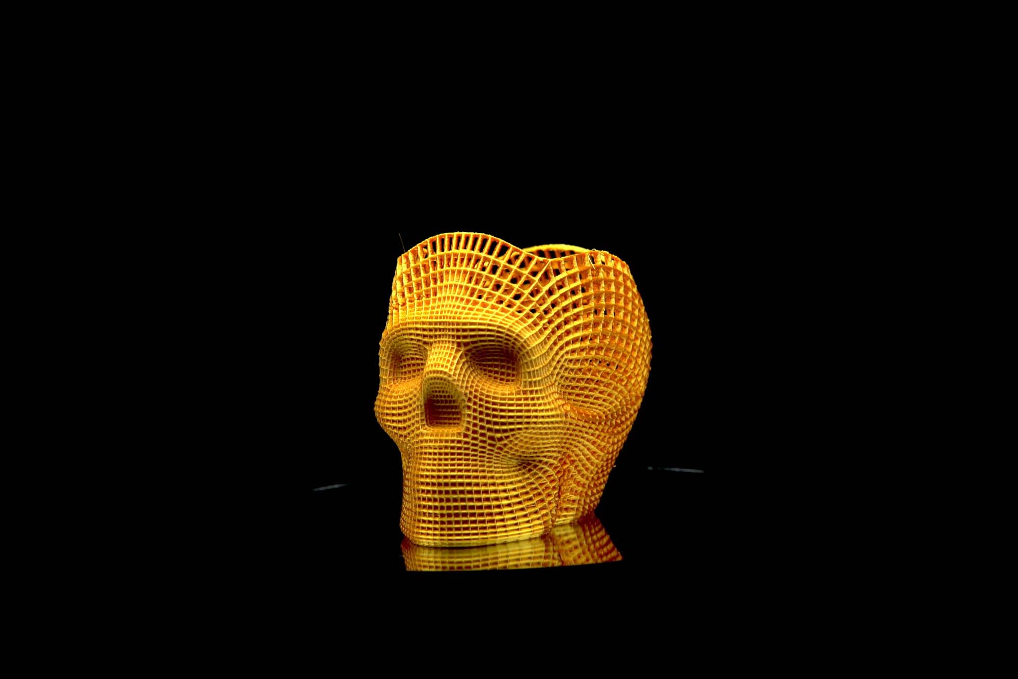 Voronoi Skull