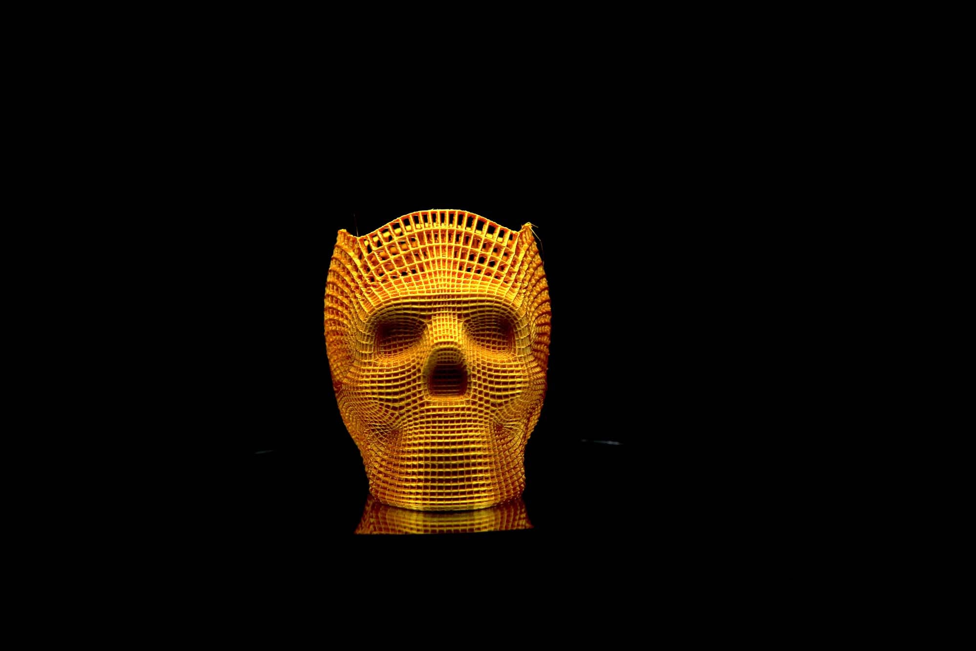 Voronoi Skull