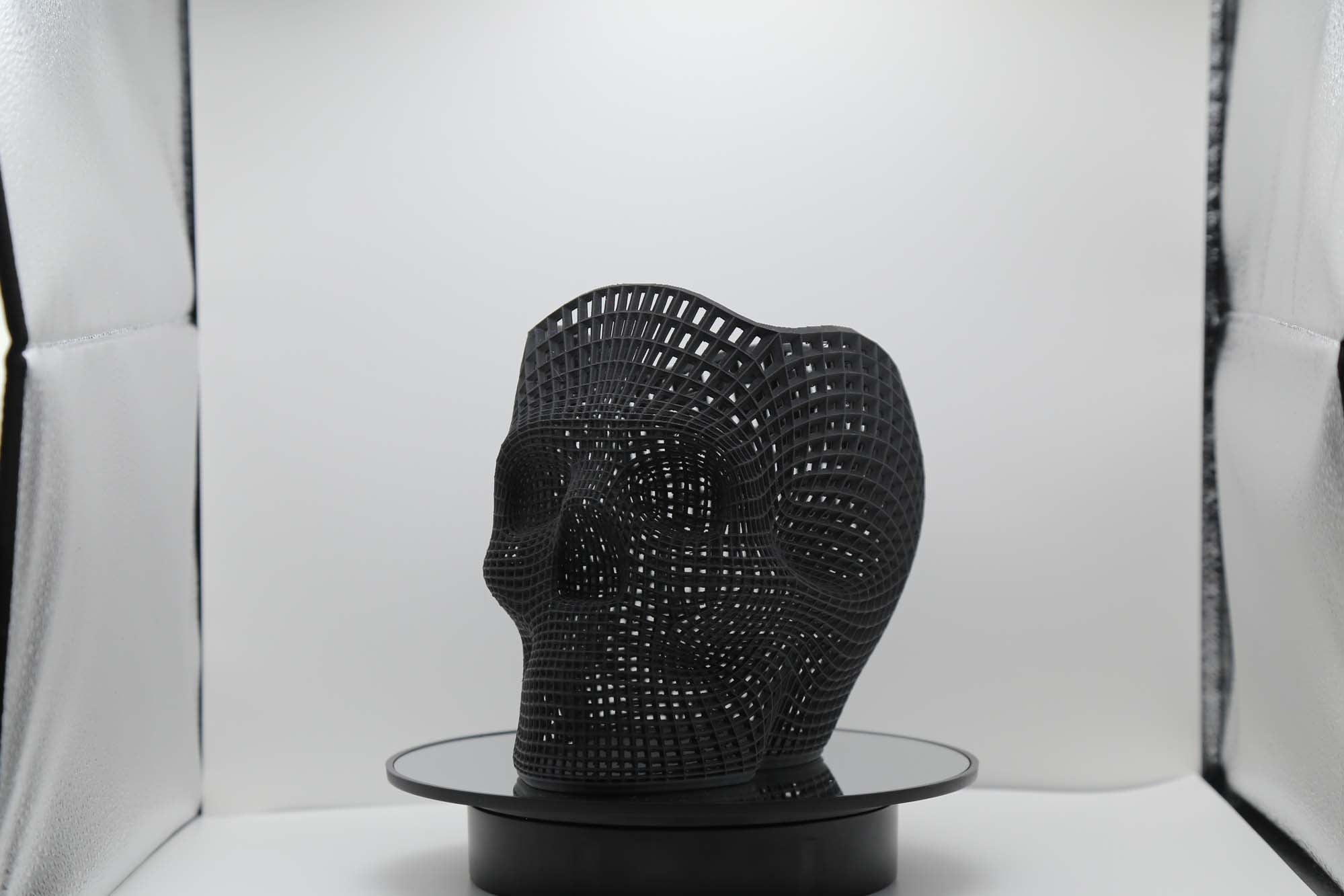 Voronoi Skull