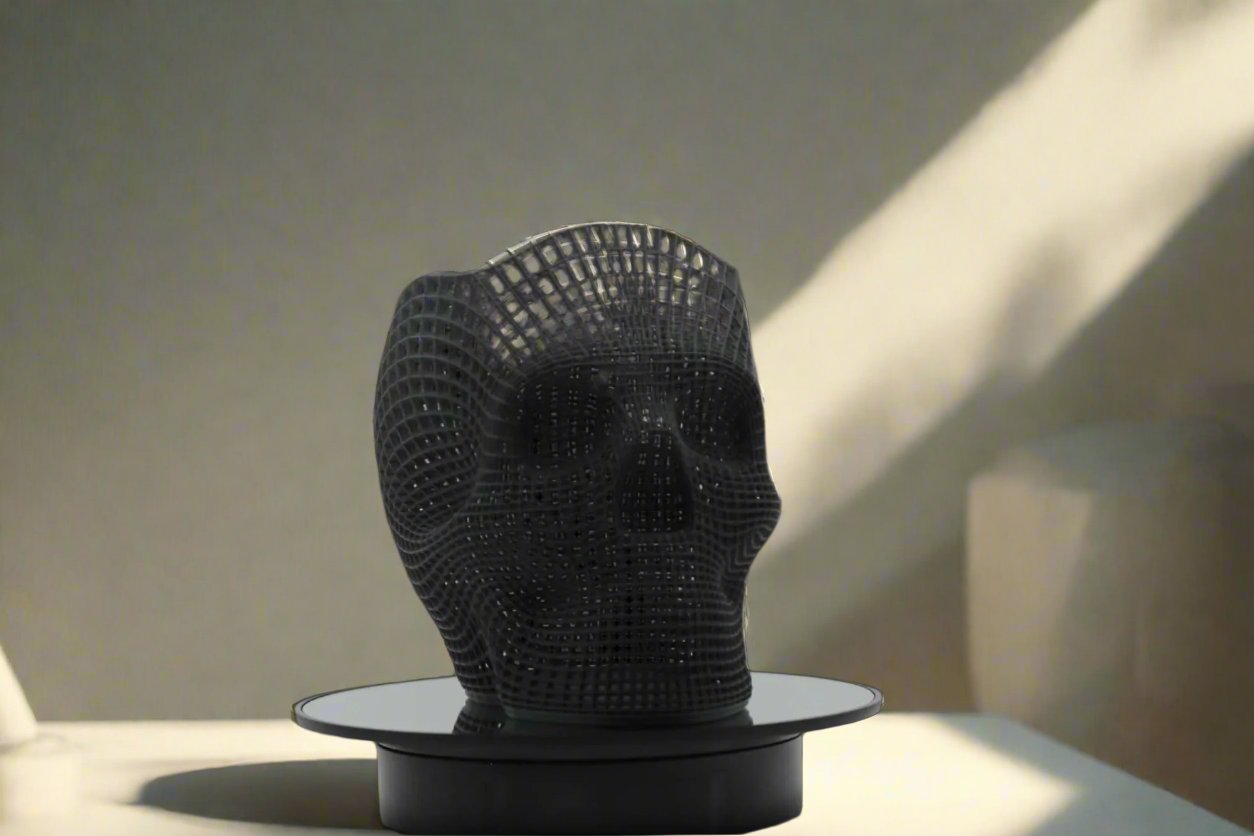 3d Printed Skull