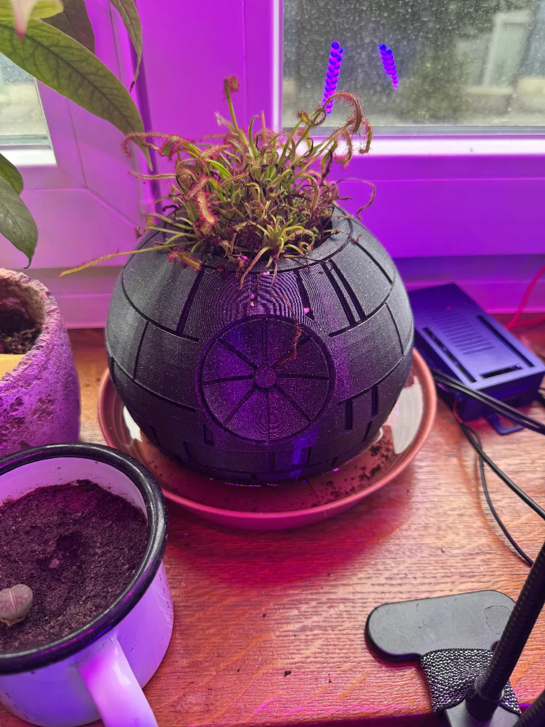 Death Star - Star Wars Pot Plant